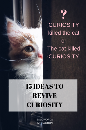 Curiosity killed the cat | Solowords into Action | Curiosity
