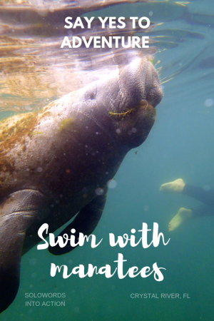 SoloWords into Action-Swim with Manatees